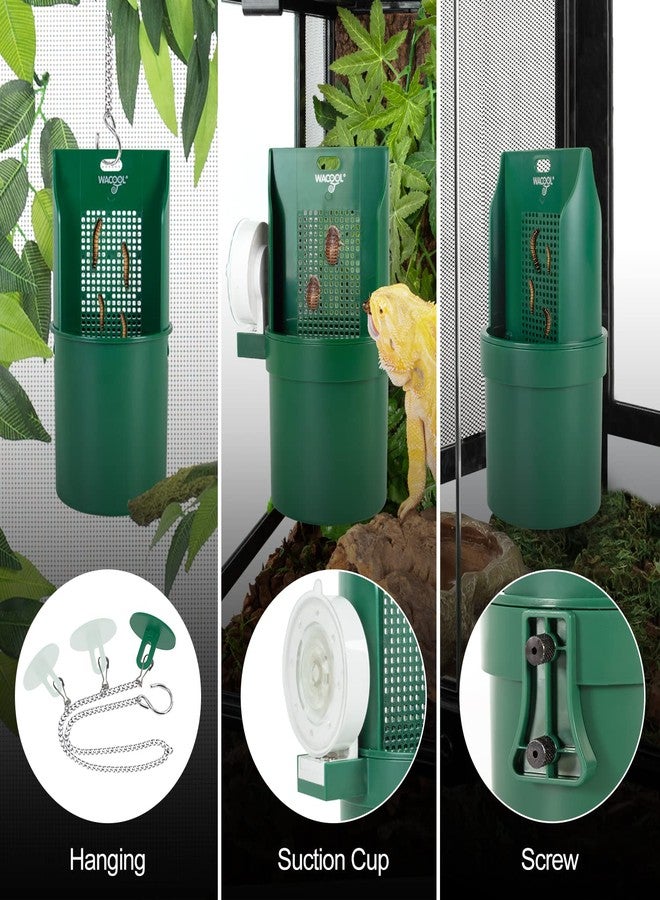 WACOOL Hanging Reptile Feeding Bowl with Grid Plate for Bugs Climbing & Move, Arboreal Reptile Climbing Feeder Bowl for Feeding Chameleon, Lizard, Iguana, Gecko, Frog - Image 5